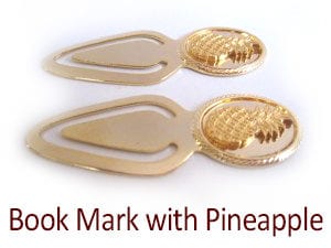 Book mark with pineapple