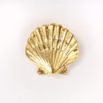seaside shell pins