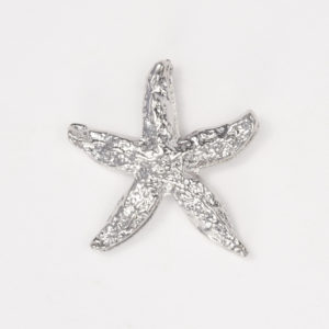 Silver starfish for teachers and volunteers service