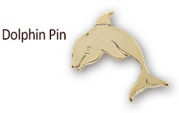 Seaside Dolphin Pin
